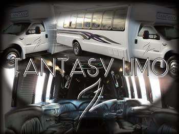 Fantasy Limousine