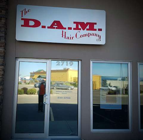 The Dam Hair Company