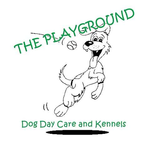 The Playground Dog Daycare & Kennels